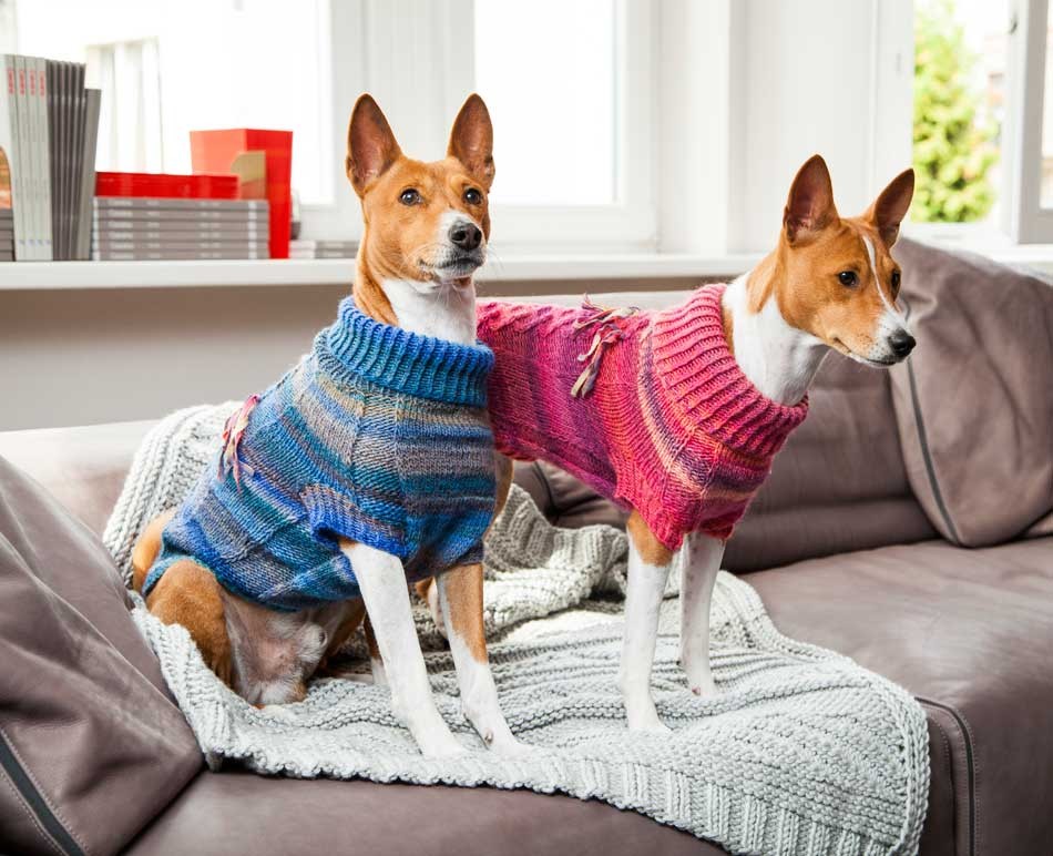 Wełniany sweter dla psa HOLI WOOLDOG